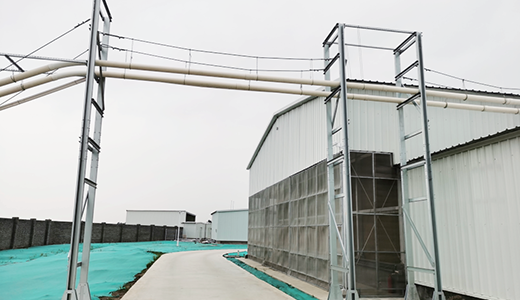 Tray Feeder - Broiler Tray Feeder