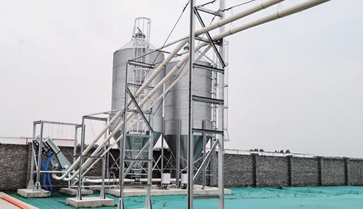 Tray Feeder - Broiler Tray Feeder