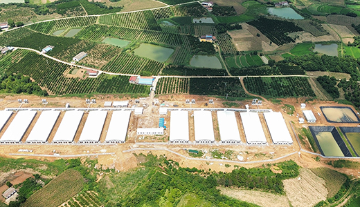 Hubei Dangyang Universe 15400 Fattening Farm