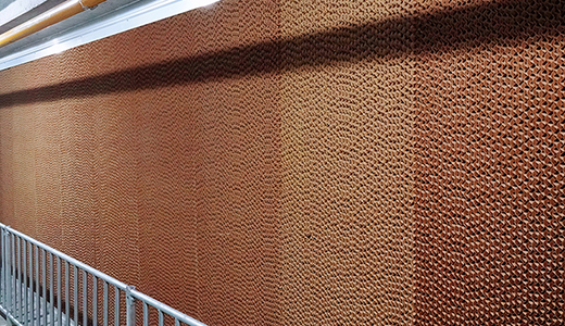 Henan Minquan Yangxi 6000 head breeding pig farm