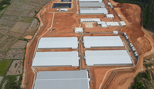 Zhanjiang Xiangshui 14000 fattening six farms