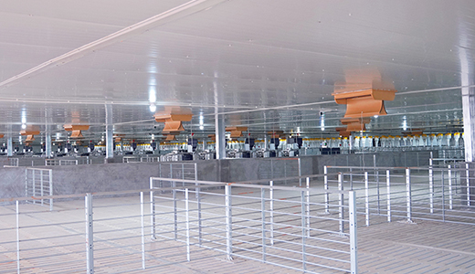 Zhanjiang Xiangshui 14000 fattening six farms