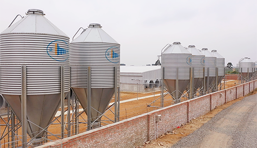 Sanhe 14000 fattening five farms on the north slope of Zhanjiang