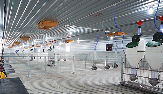 Sanhe 14000 fattening five farms on the north slope of Zhanjiang