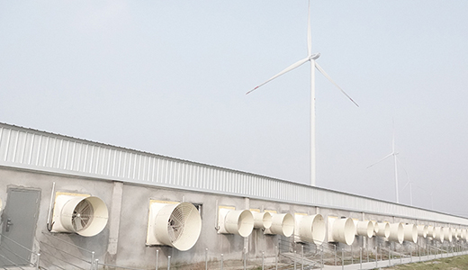 Civil rights 6000 pig farms