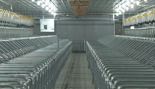 Civil rights 6000 pig farms