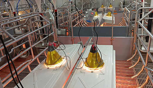    IoT construction for pig farms in Inner Mongolia