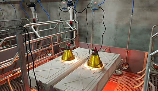    IoT construction for pig farms in Inner Mongolia