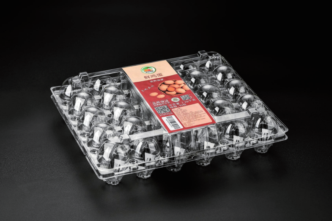 Transparent PET Egg Tray