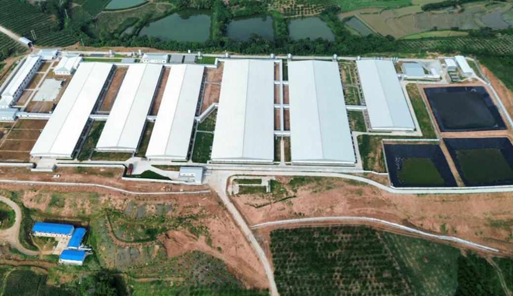 CP  (Dangyang) Million Head Pig Industry Chain Project Starts Construction Acceleration