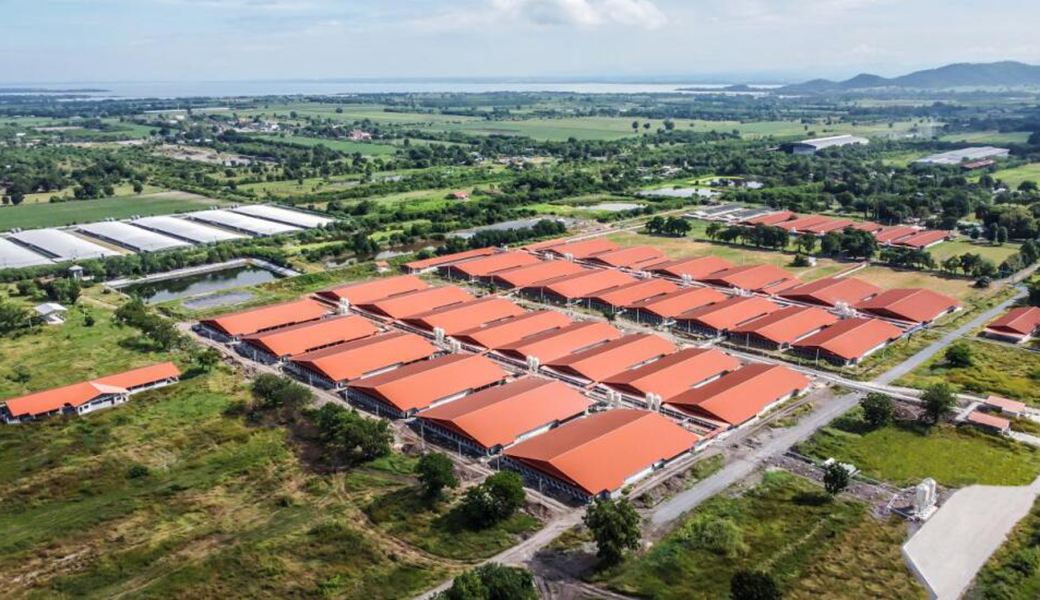 CP M&E Group maintains its internationalization strategy