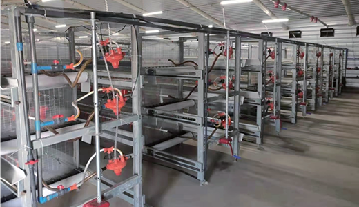 Broiler Monomer Cage