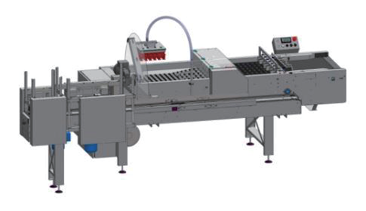 Breeding Egg Grading System Equipment