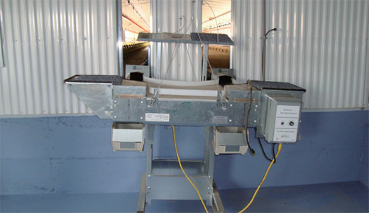 Automatic Egg Collecting Table