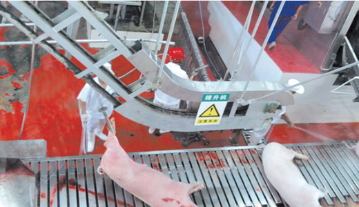 Horizontal bleeding conveyor