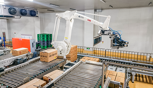 Automatic depalletizing and palletizing systems