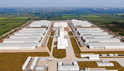 Shandong Weifang modern food (3.6 million layer) whole industry chain