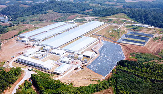 Hubei Dangyang Mingyue Mountain 6000 Pig Farm