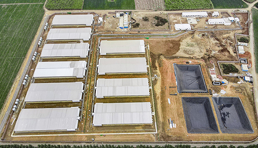 Sanhe 14000 fattening five farms on the north slope of Zhanjiang