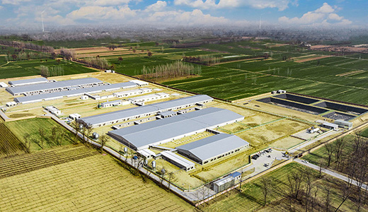 Civil rights 6000 pig farms