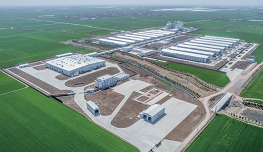 Chicken Farm Equipment and Engineering