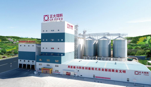 Feed Equipment and Engineering