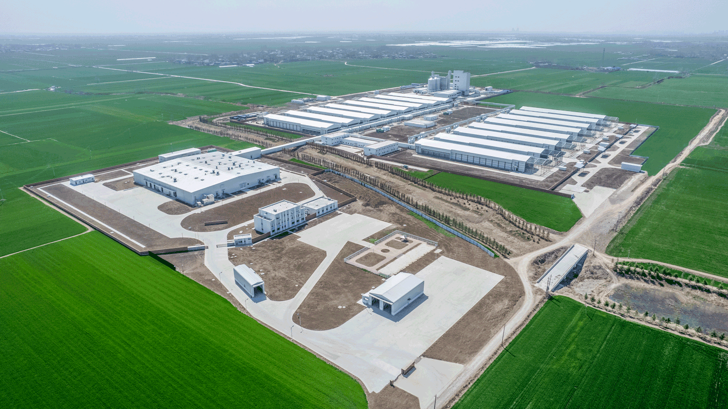 3 Million Egg Chicken Full Industry Chain Project in Luohe,Henan 