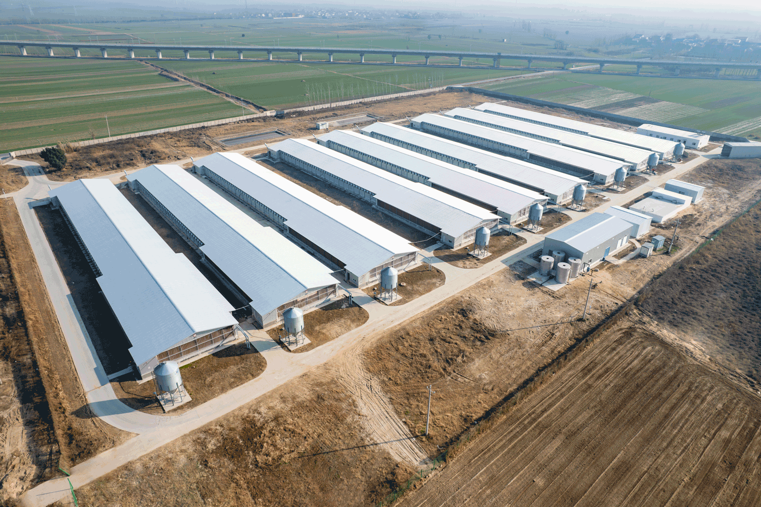 1,500 Broiler Breeding Project #4 Broiler Farm in Lankao,Henan
