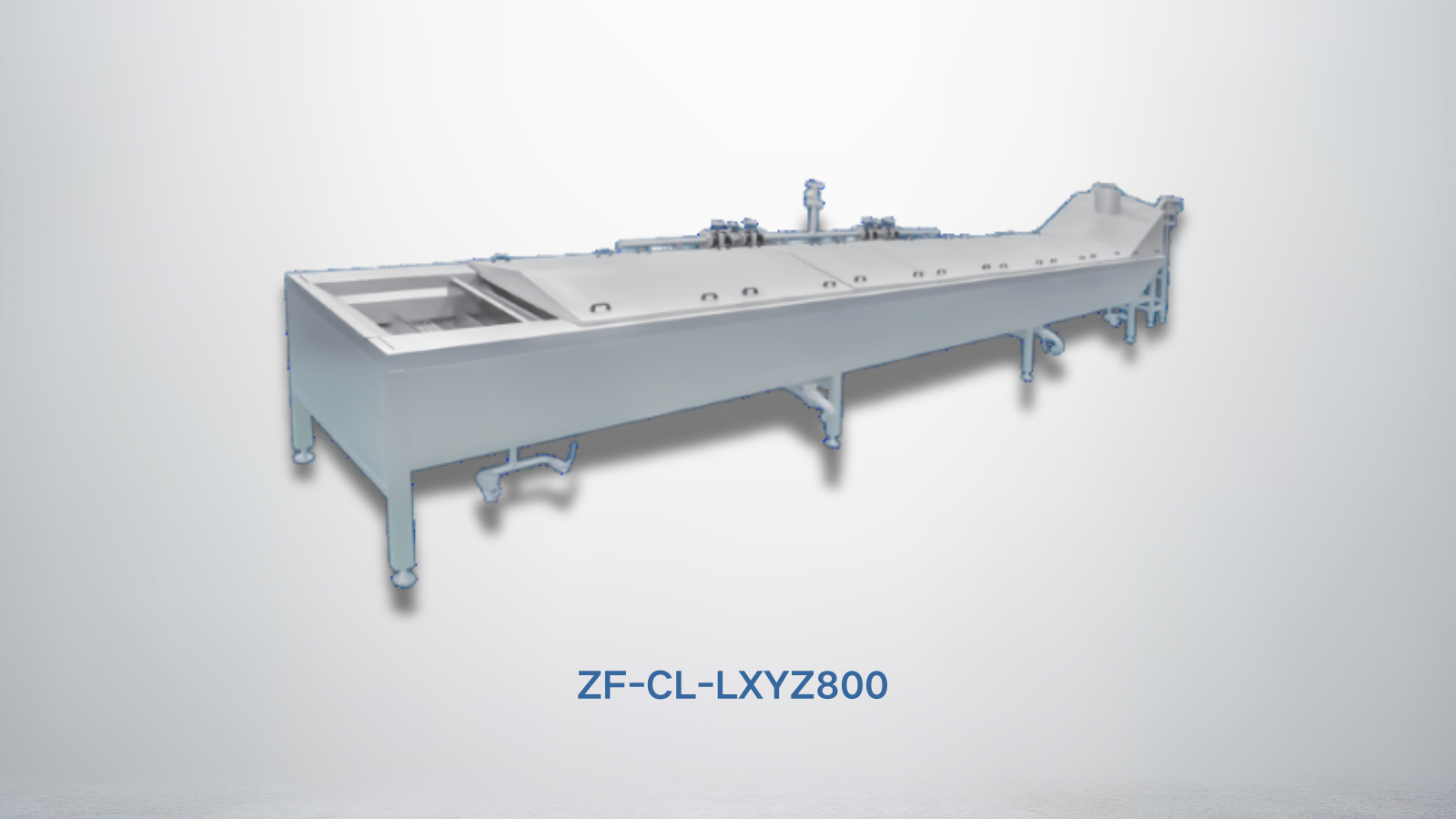 Blanching Machines ZF-CL-LXYZ800