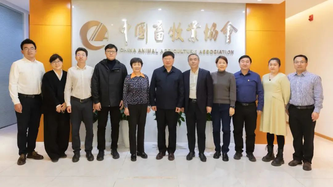 CP M&E Group and China Animal Husbandry Association Conducted In-depth Discussions and Exchanges